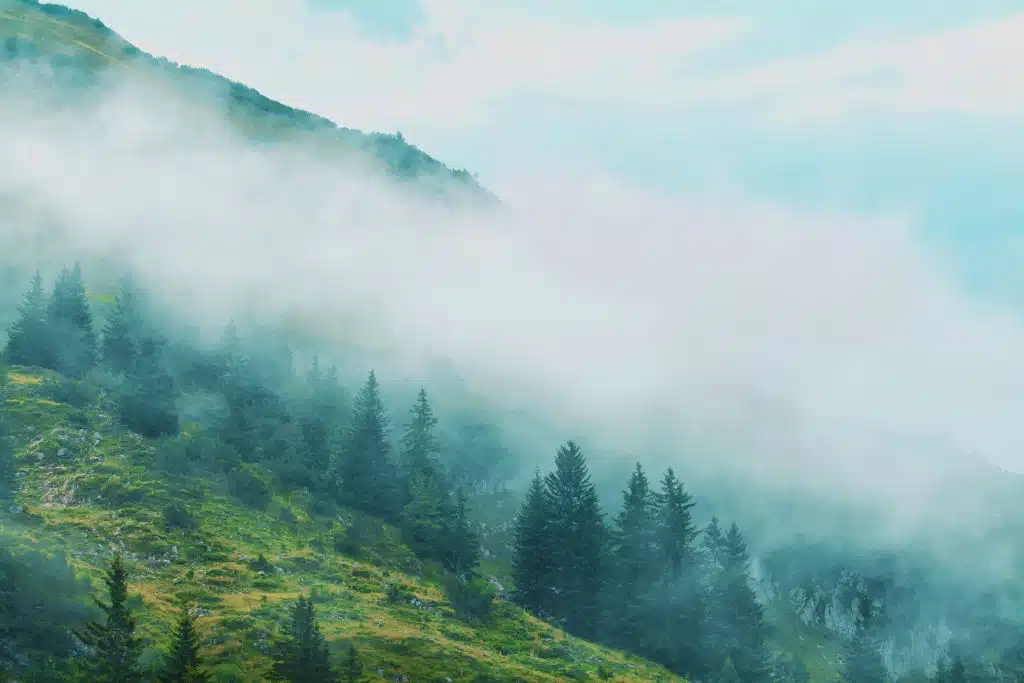 Magical Guizhou: Connect with Trees and Live with Nature