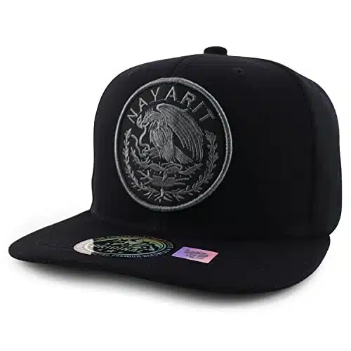 Trendy Apparel Shop Cities of Mexico Circular Logo Embroidered Flatbill Snapback Baseball Cap   Nayarit Charcoal   Black