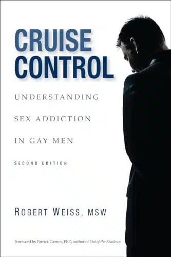 Cruise Control Understanding Sex Addiction in Gay Men