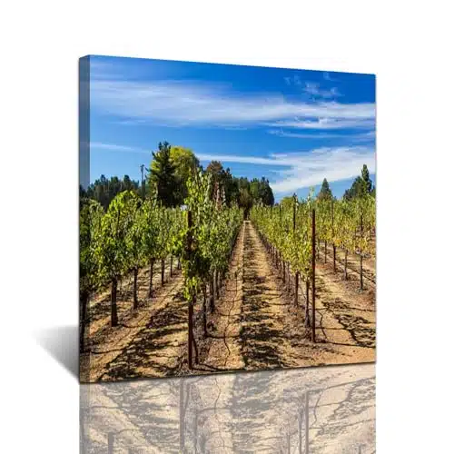 GISGBJW Canvas Wall Art Daytime wine vineyards Healdsburg California County Wine Valley Modern Artwork Framed Painting Posters Wall Decor for Living Room Bedroom Bathroom xInch