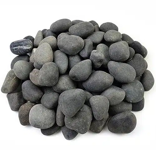 FANTIAN lb Black Stones Mexican Beach Pebbles, Inch Natural Decorative Black River Rocks for Outdoor Landscaping, Aquarium Garden Walkways Paving Plant Rocks Fountain Painting Rocks