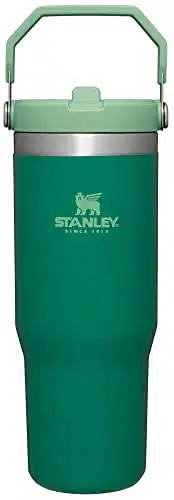 Stanley IceFlow Stainless Steel Tumbler with Straw   Vacuum Insulated Water Bottle for Home, Office or Car Reusable Cup Leakproof Flip Cold Hours Iced Days (Alpine) , oz