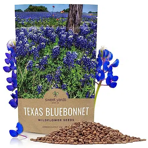 Texas Bluebonnet Wildflower Seeds   Bulk Pound Bag   Over ,Native Seeds   Texas State Flower!