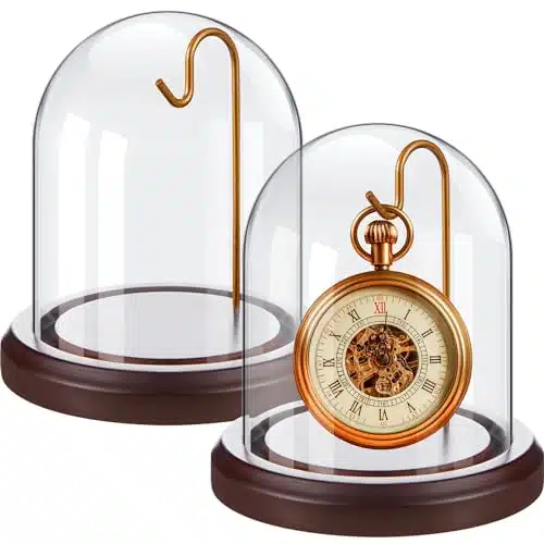 Beeveer Pcs x atch Ornament Glass Display with Hooks Dome Cloche with Wood Base Decorative Glass Display Dome Showcase for Watch Plants Medals Photos Collectibles Ornament Dar