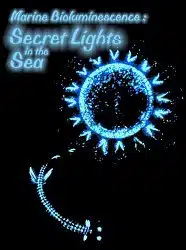 Bioluminescence Secret Lights in the Sea DVD with worksheet