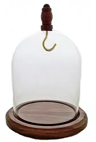 xPocket Watch Glass Display Dome Cloche with Hook, Real Walnut Base & Wood knob